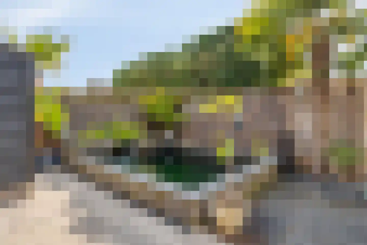 Strohuls 43 Asten thumbnail 36