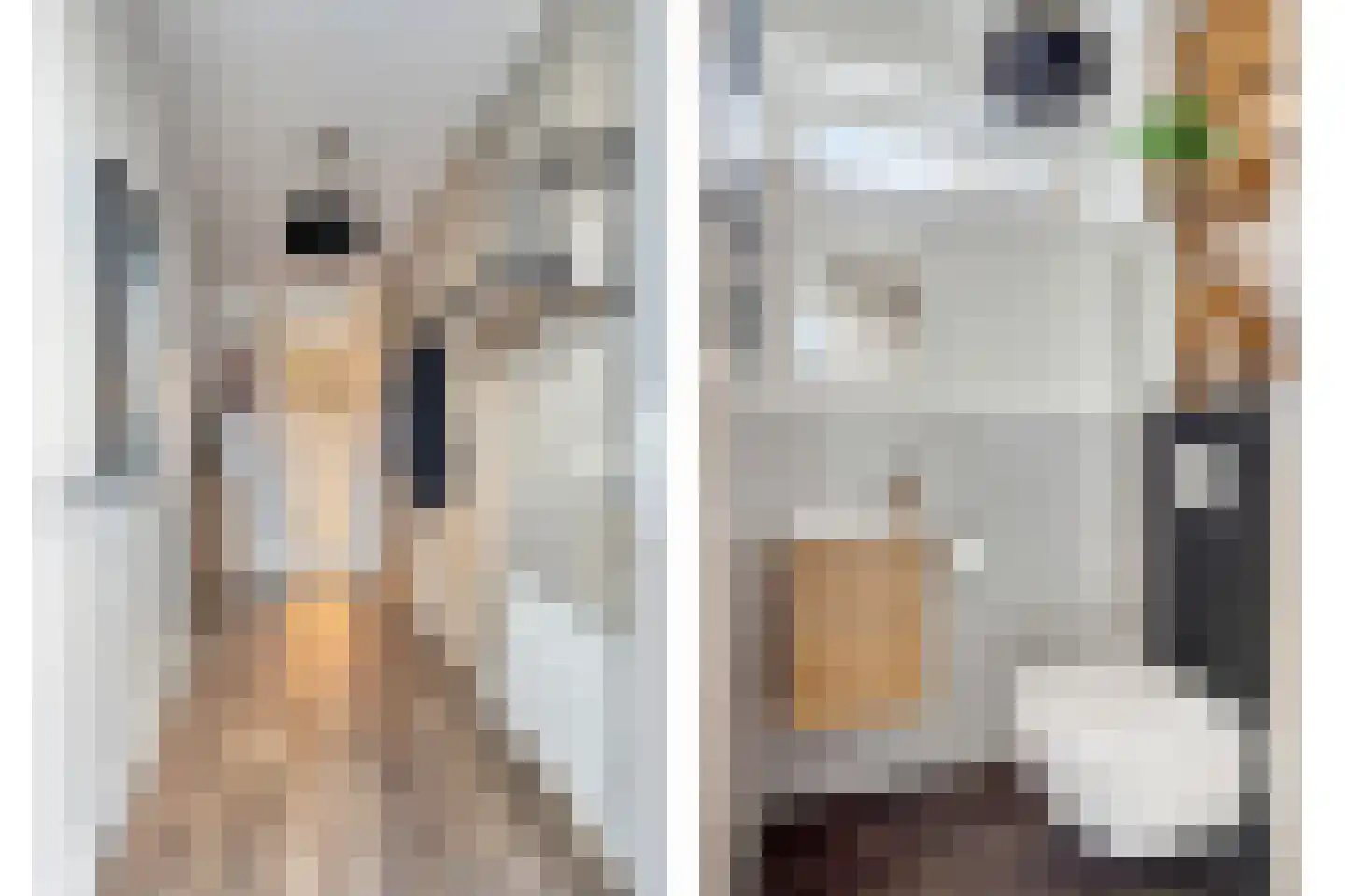 Strohuls 43 Asten thumbnail 7