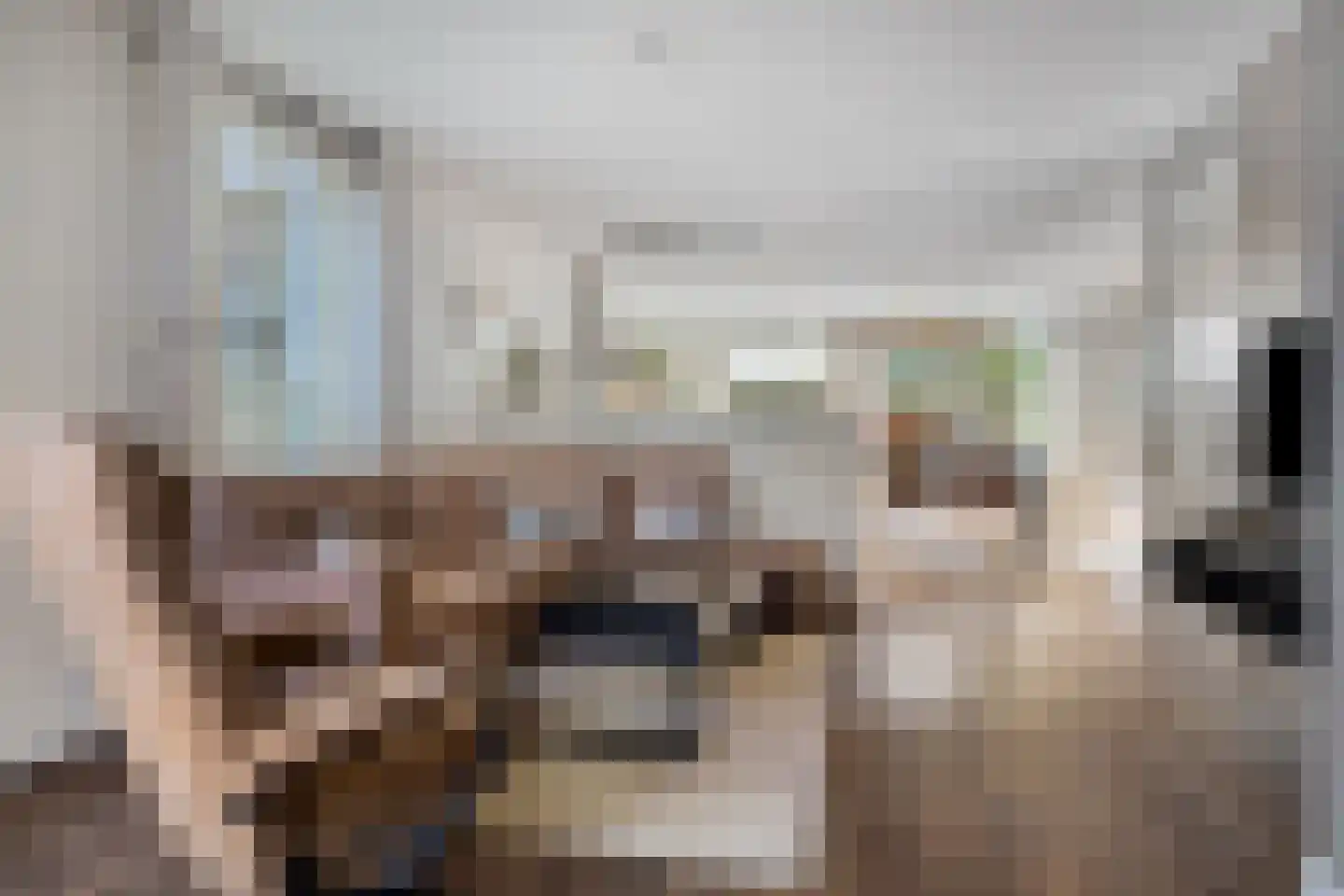 Strohuls 43 Asten thumbnail 9