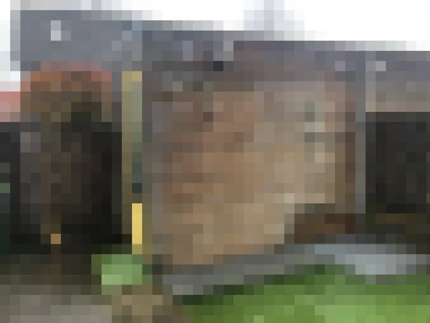 Strohuls 49 Asten thumbnail 25