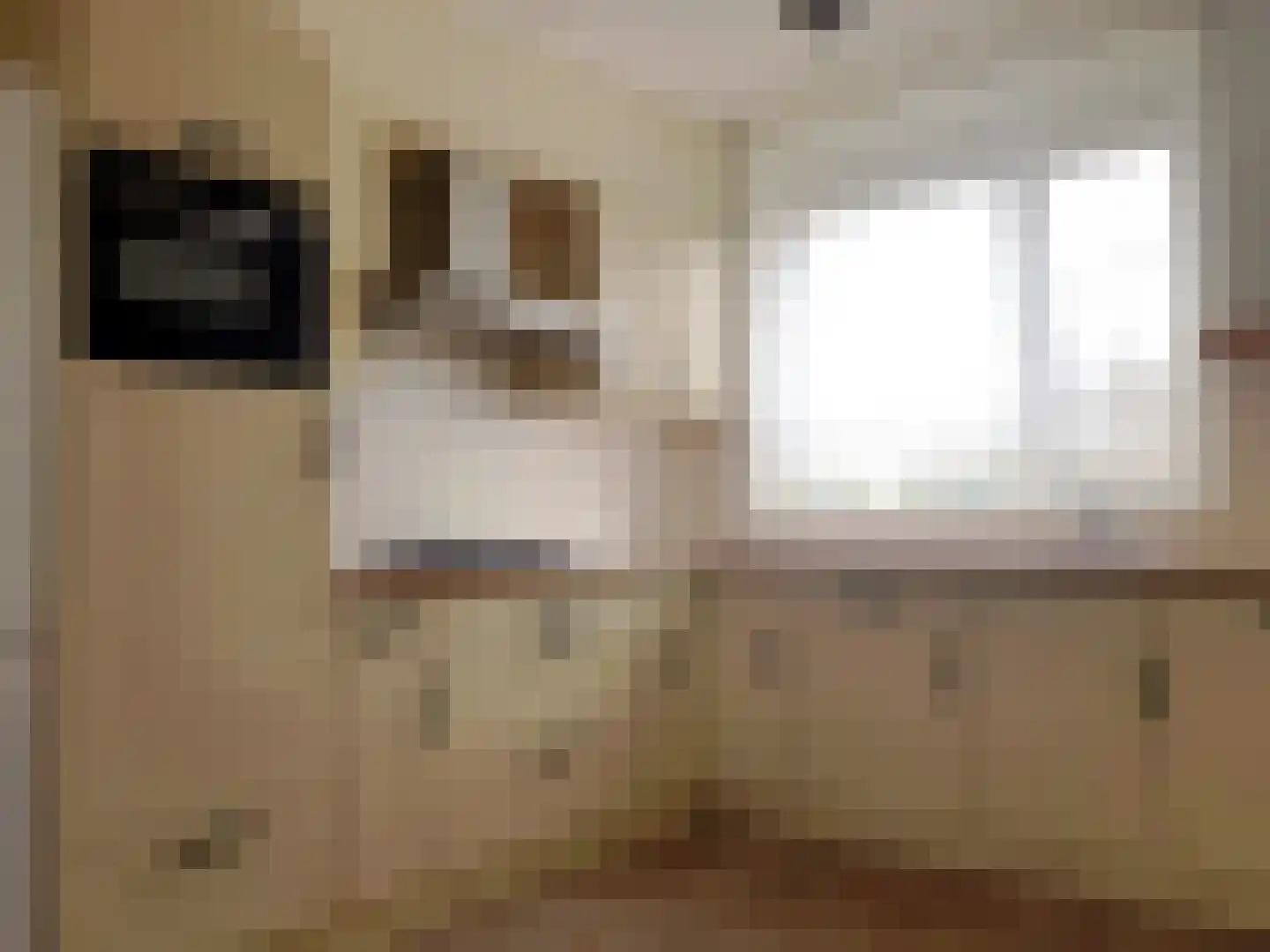 Strohuls 49 Asten thumbnail 8