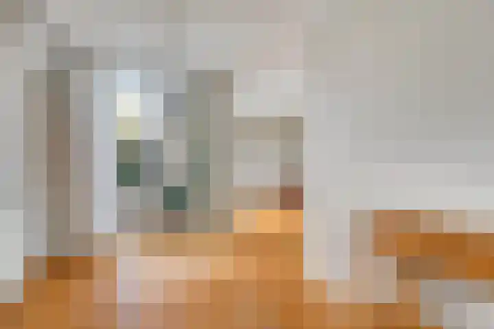 Strohuls 6 Asten thumbnail 11