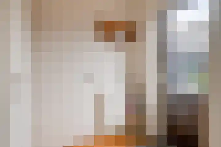Strohuls 6 Asten thumbnail 16