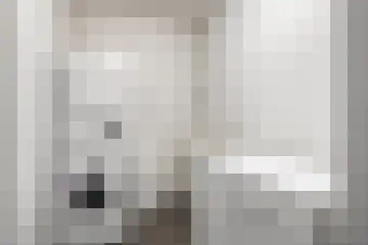 Strohuls 6 Asten thumbnail 17