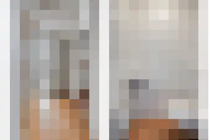 Strohuls 6 Asten thumbnail 19