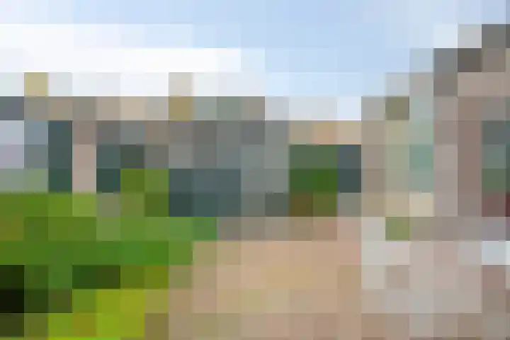 Strohuls 6 Asten thumbnail 23