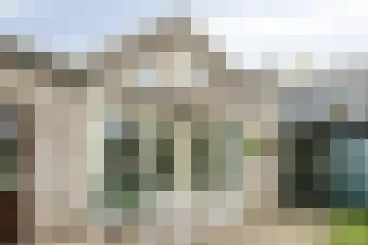 Strohuls 6 Asten thumbnail 26