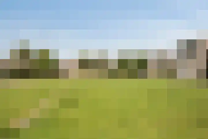 Strohuls 6 Asten thumbnail 31