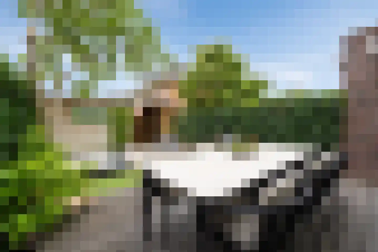 Strohulzen 31 Boxtel thumbnail 33