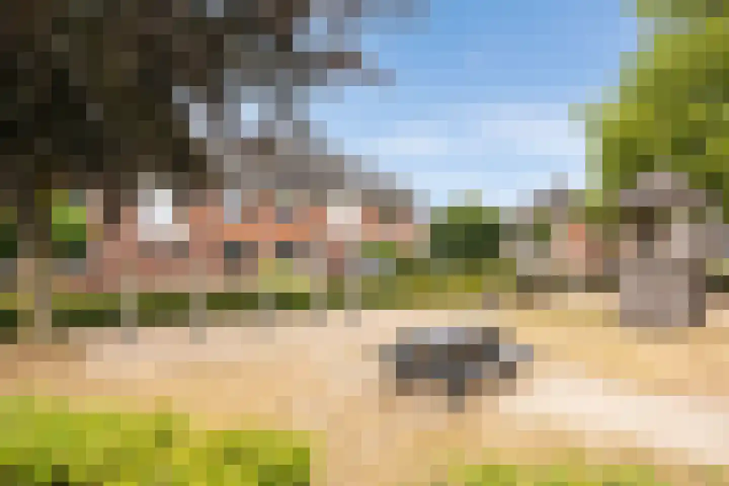 Strohulzen 31 Boxtel thumbnail 41