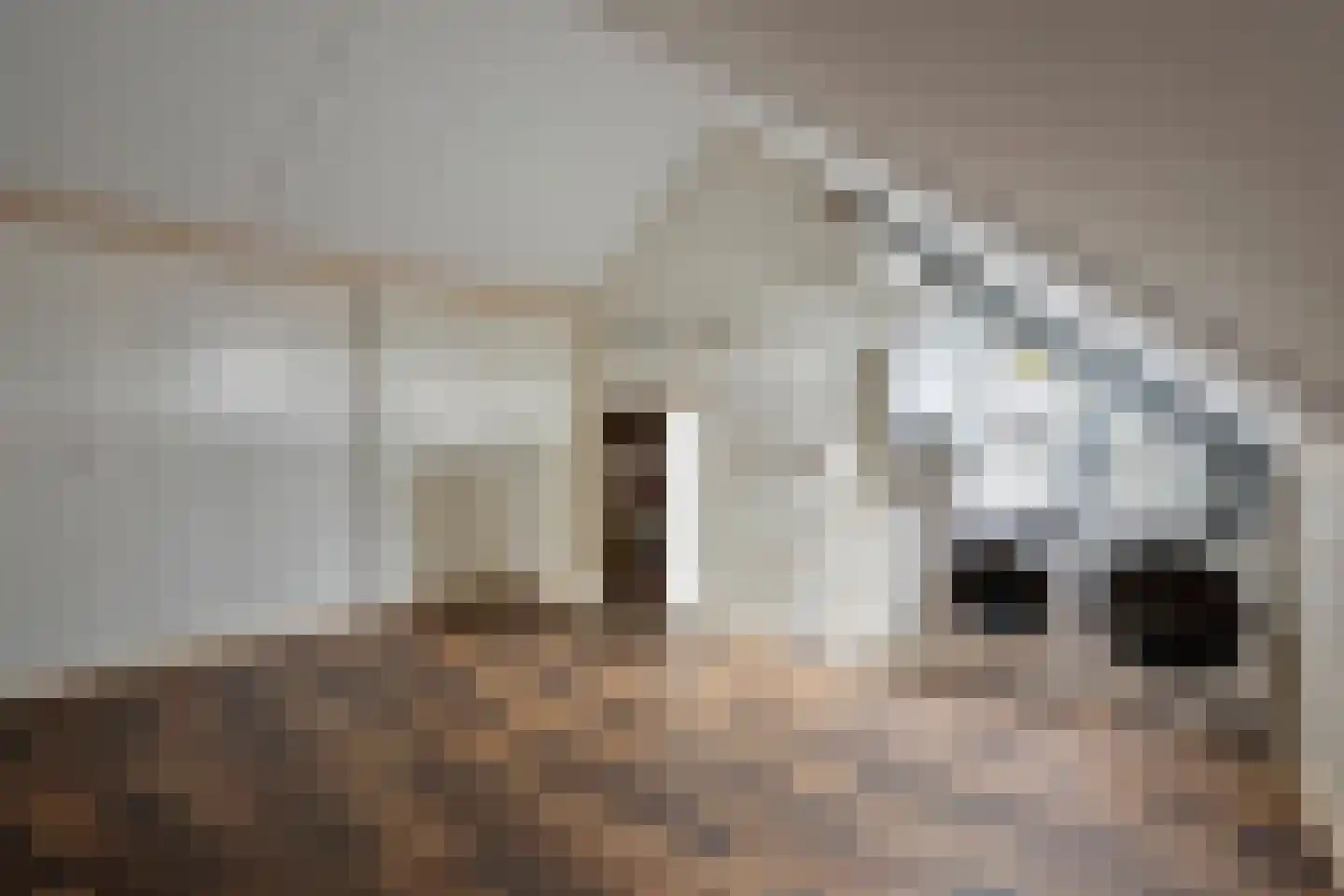 Strohulzen 36 Boxtel thumbnail 17