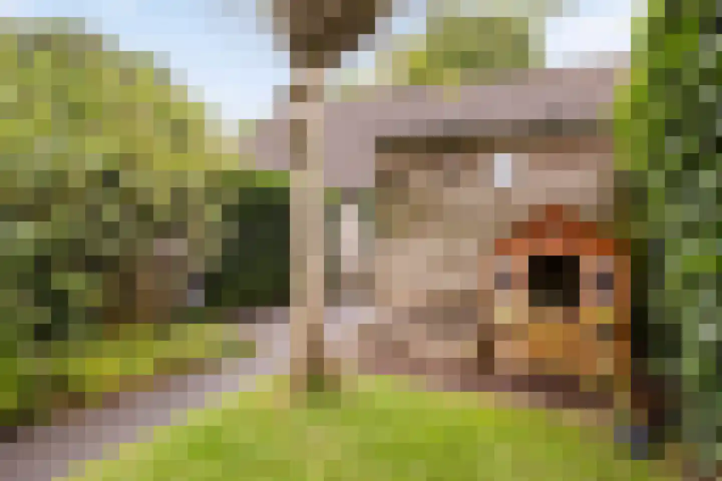 Strohulzen 36 Boxtel thumbnail 22