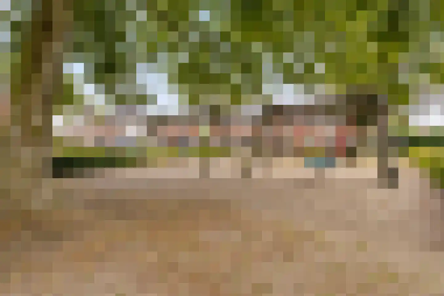 Strohulzen 36 Boxtel thumbnail 24