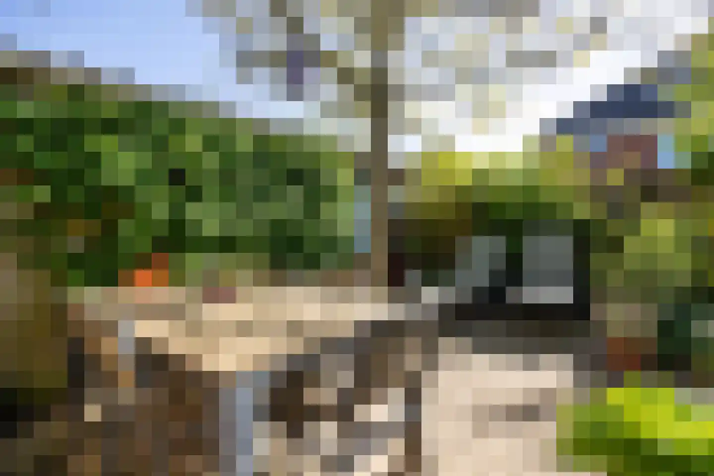 Strohulzen 39 Boxtel thumbnail 34