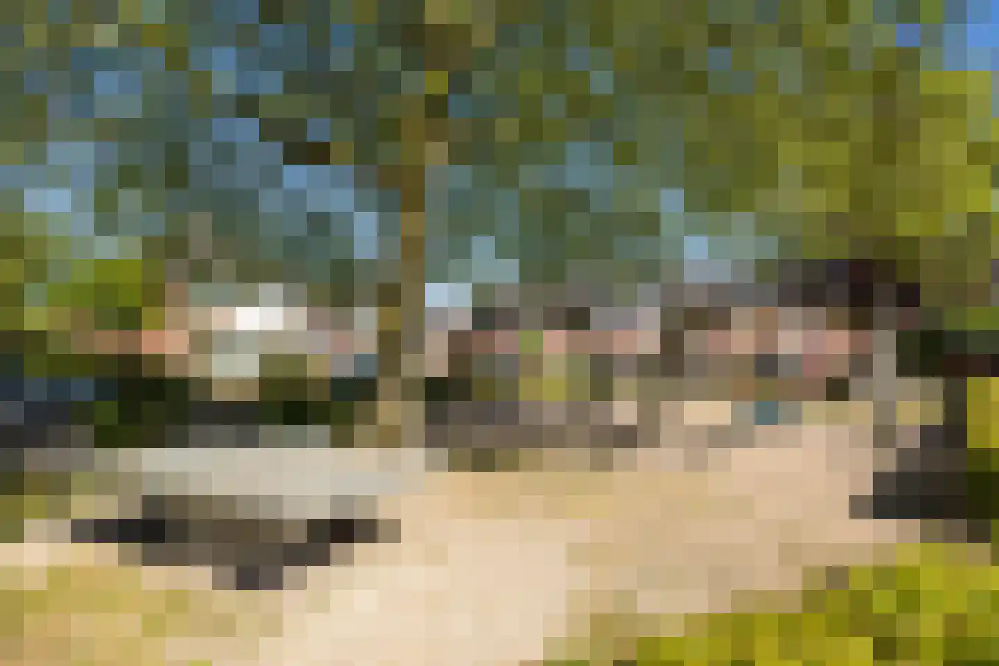 Strohulzen 39 Boxtel thumbnail 41