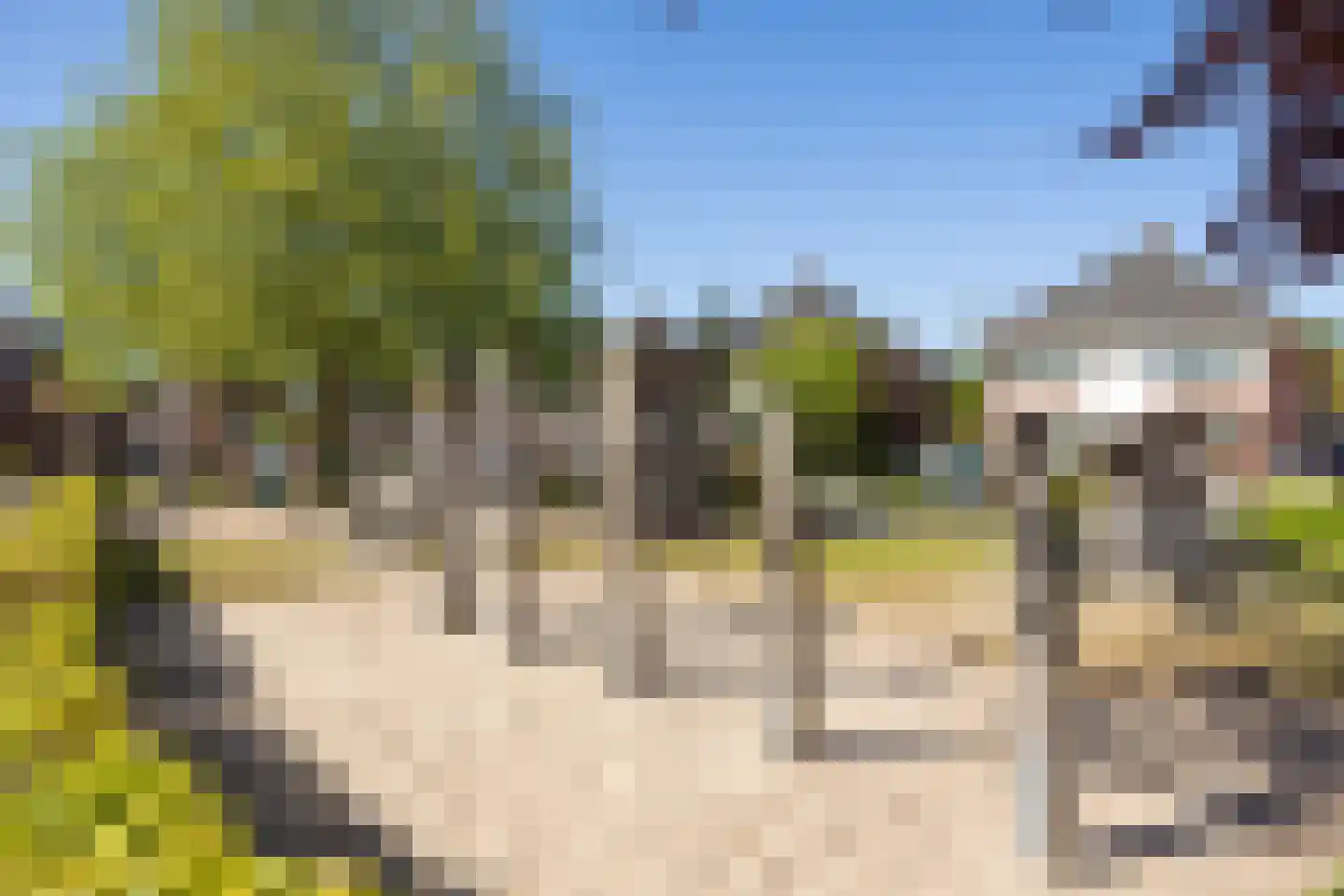 Strohulzen 39 Boxtel thumbnail 42