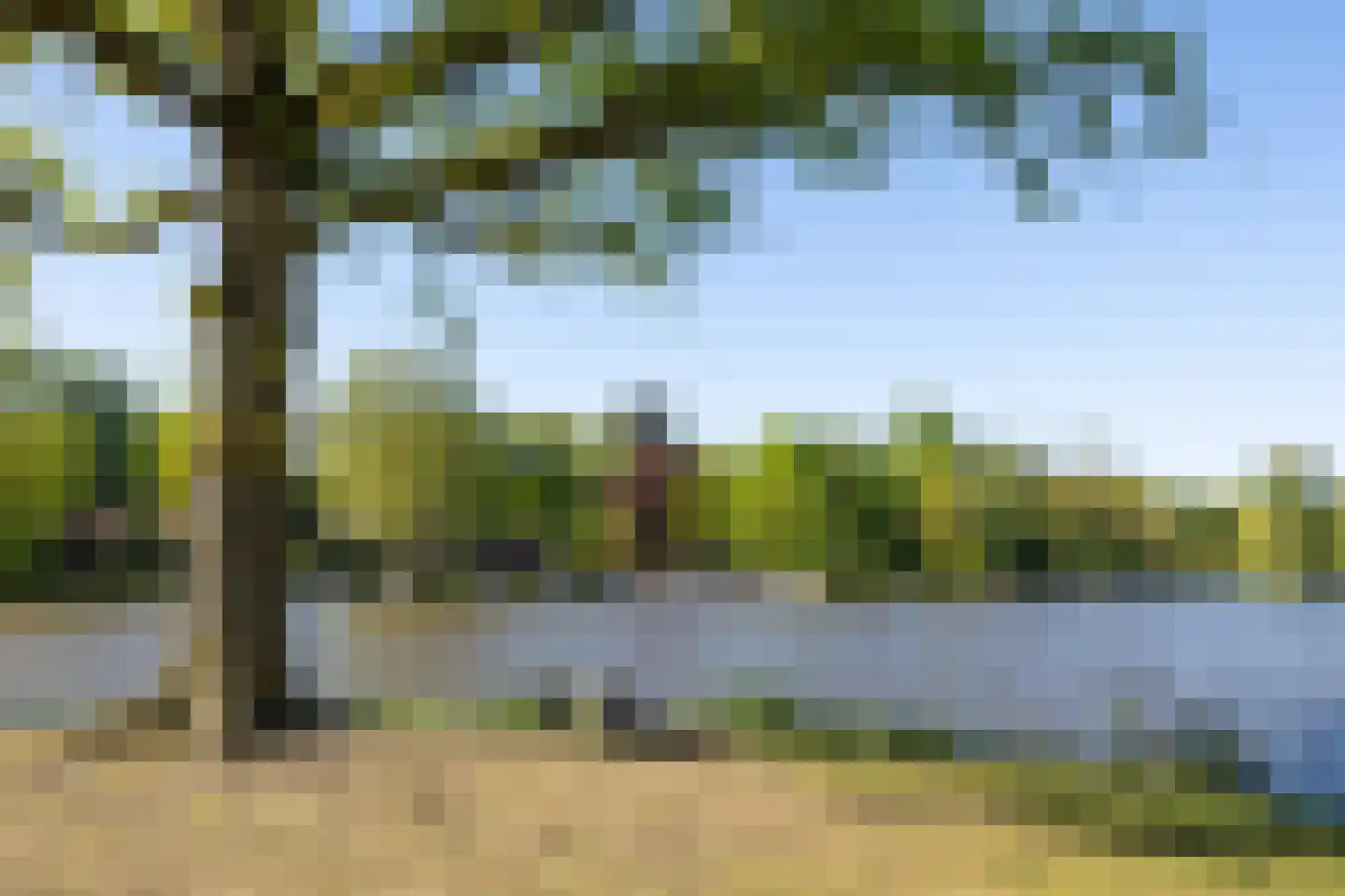 Strohulzen 39 Boxtel thumbnail 43