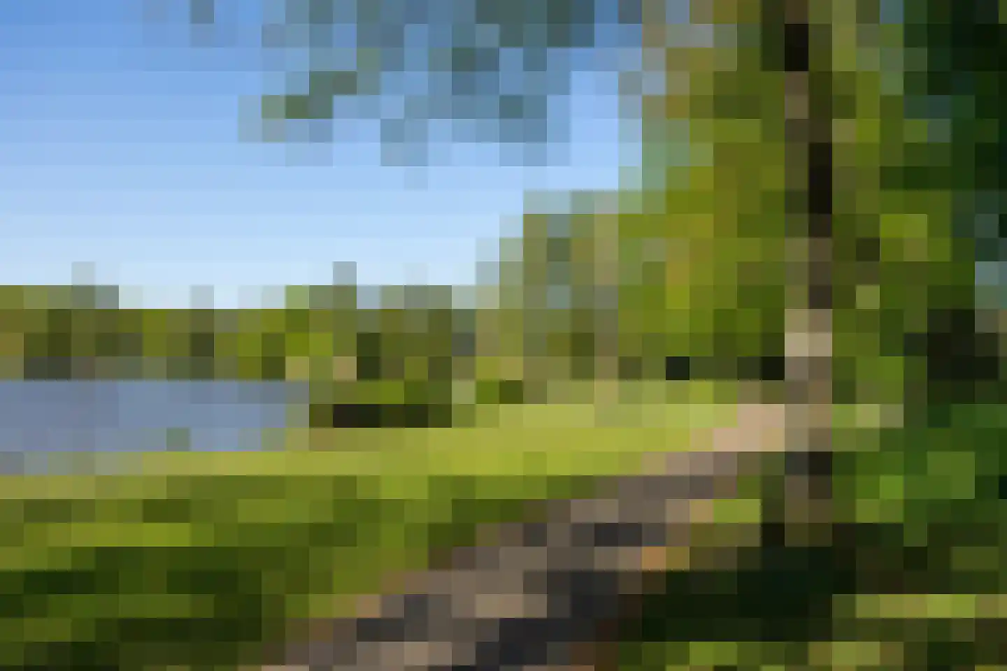 Strohulzen 39 Boxtel thumbnail 44