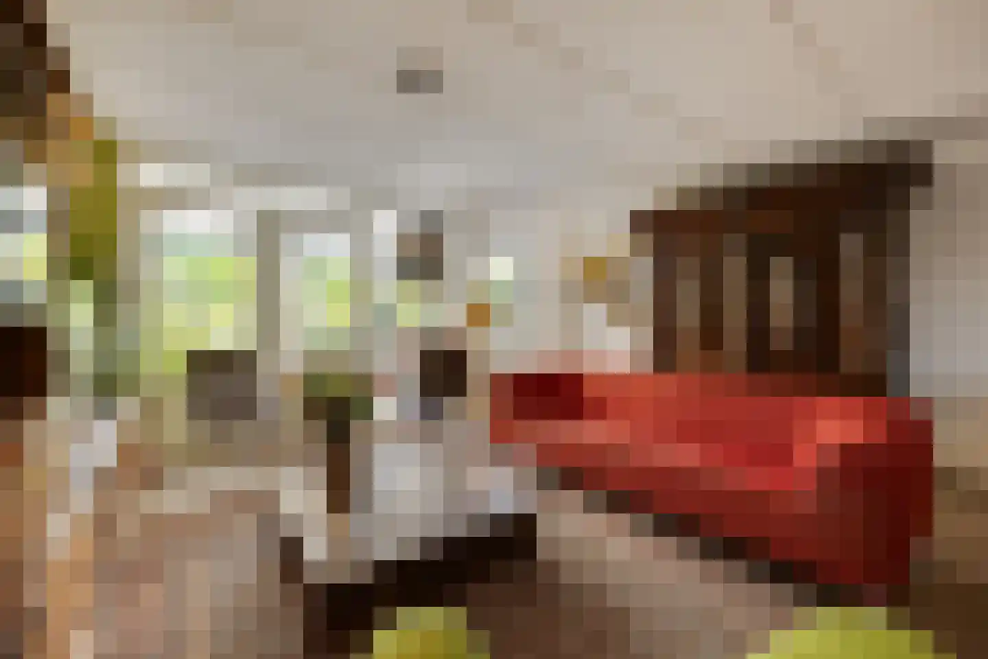 Strohulzen 39 Boxtel thumbnail 7