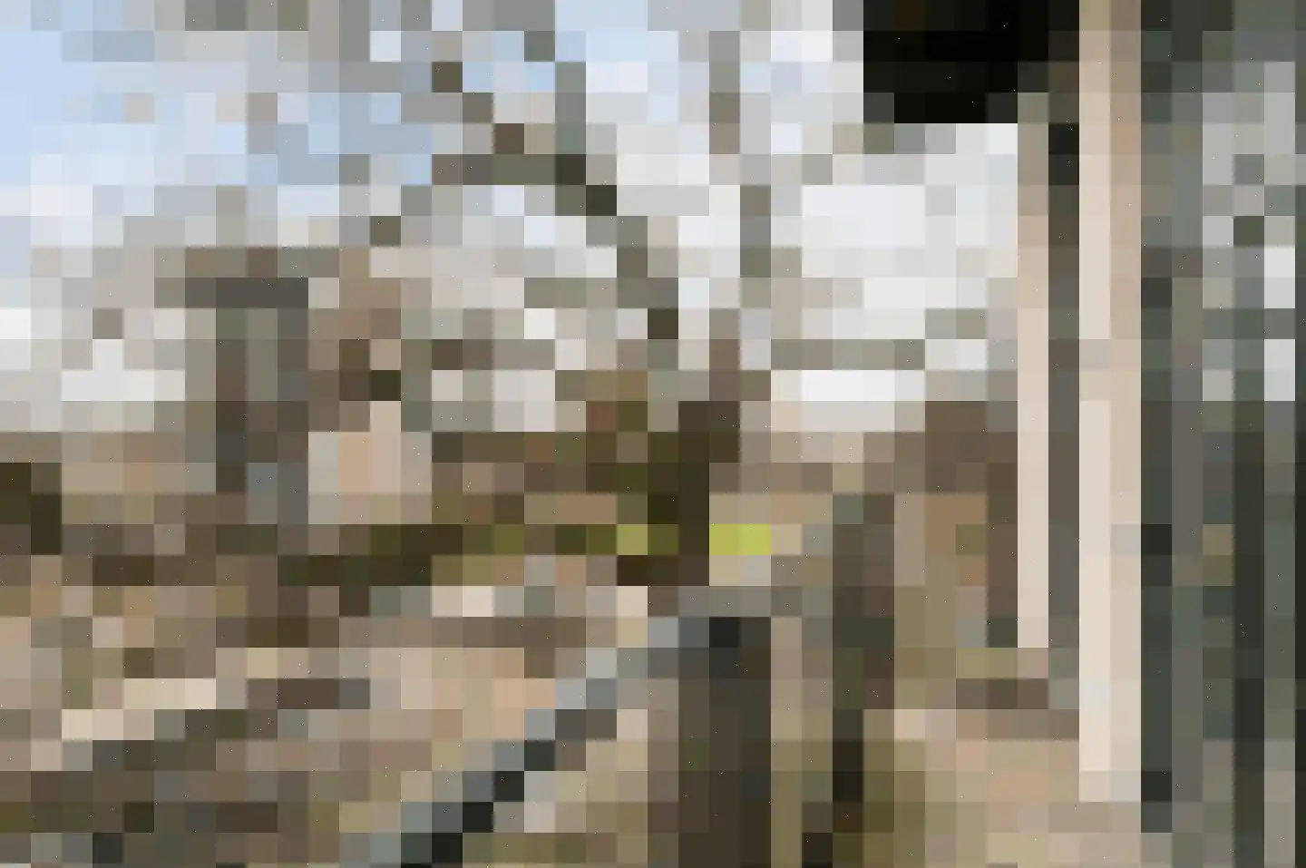 Stroinksbleekweg 20 21 Enschede thumbnail 22