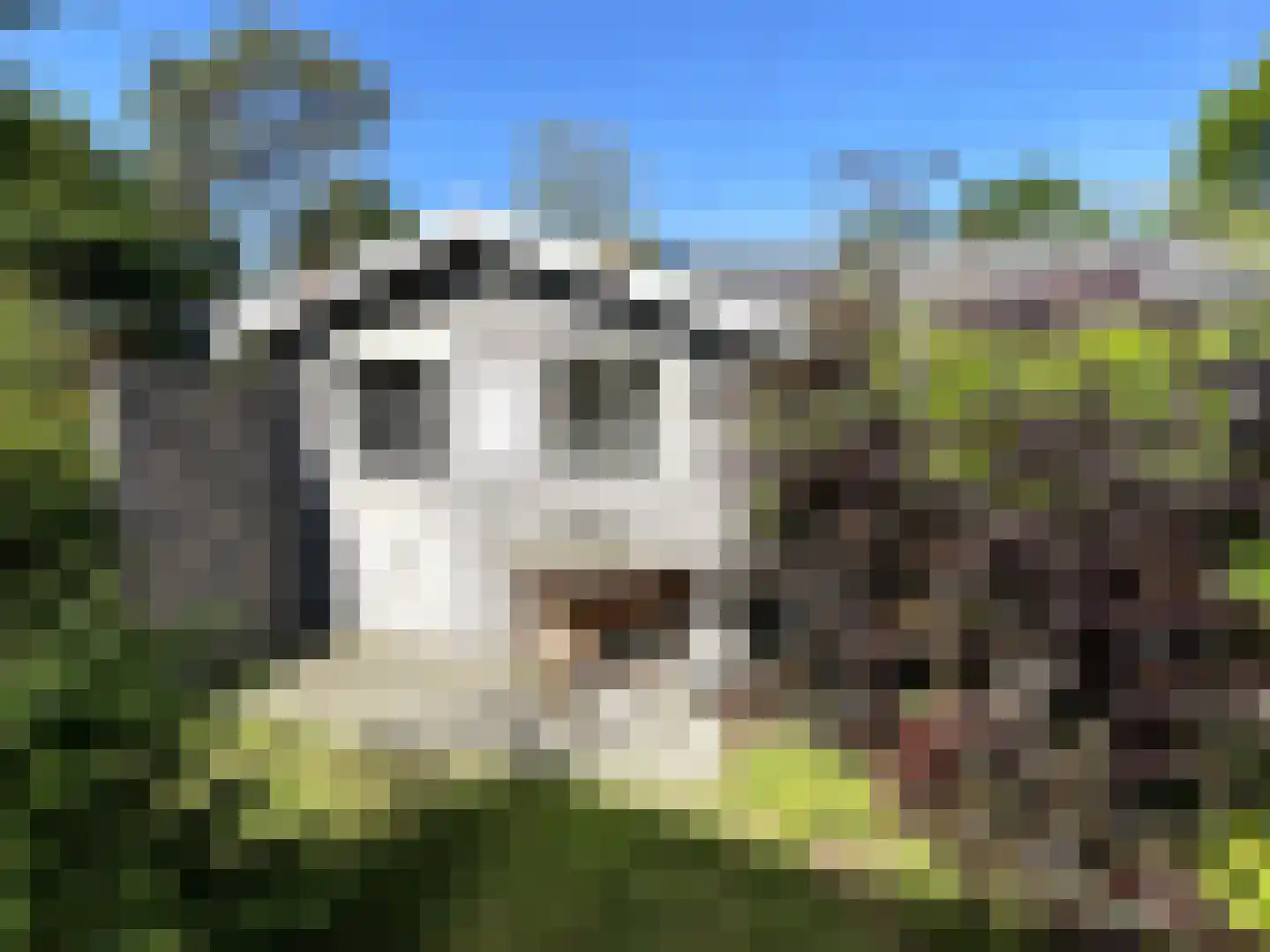 Strokel 23 3 Ermelo thumbnail 14