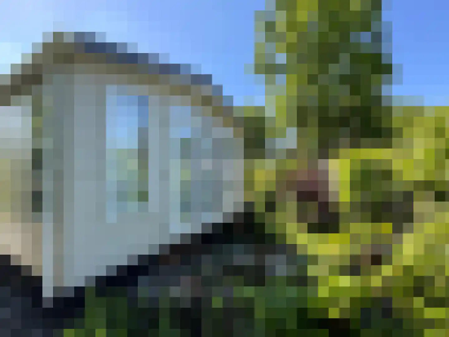 Strokel 23 3 Ermelo thumbnail 17