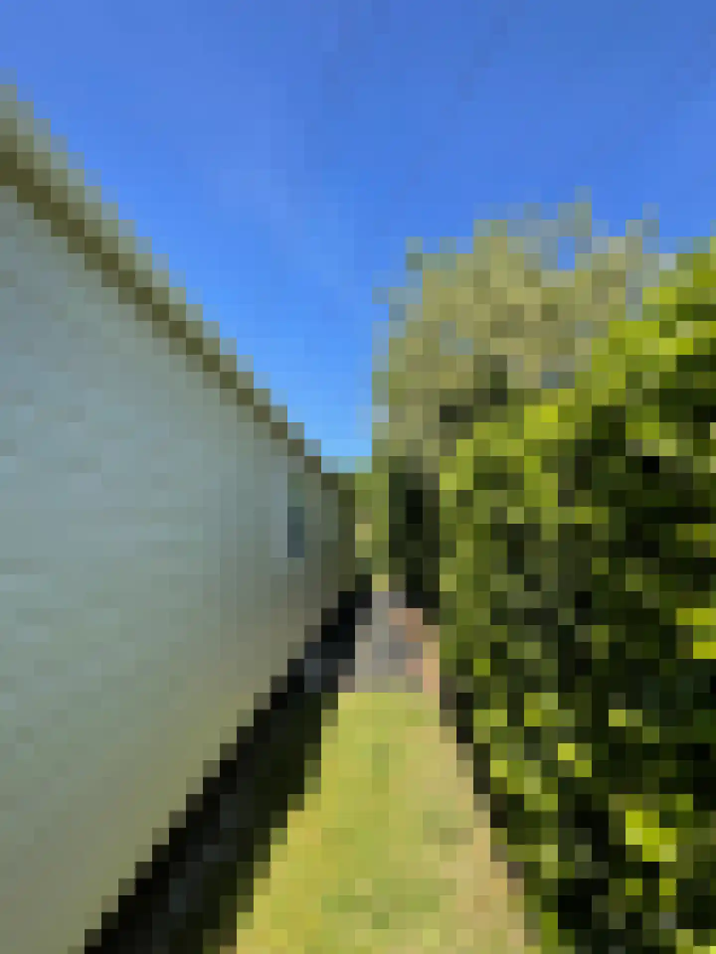 Strokel 23 3 Ermelo thumbnail 18