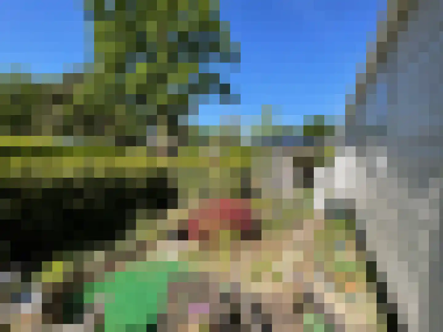 Strokel 23 3 Ermelo thumbnail 19