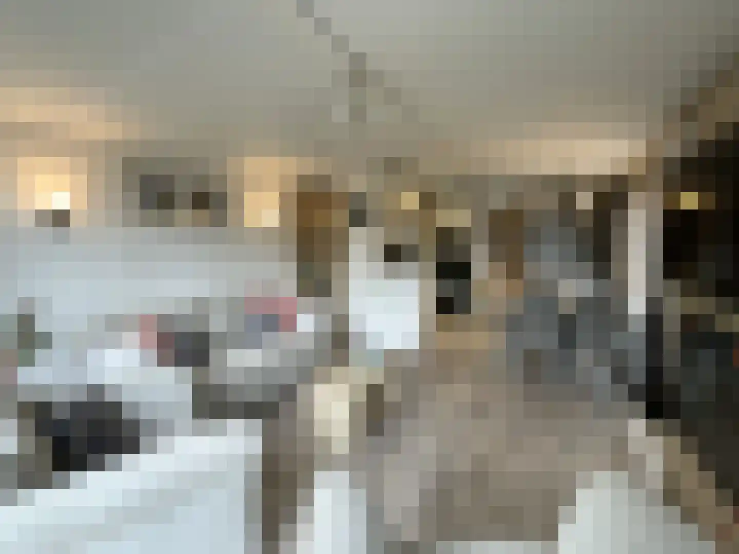 Strokel 23 3 Ermelo thumbnail 4