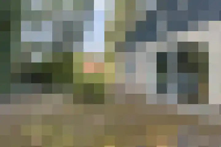 Strokel 23 A 10 Ermelo thumbnail 20