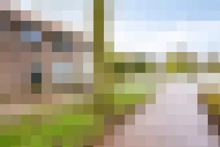 Strokel 23 A 10 Ermelo thumbnail 29