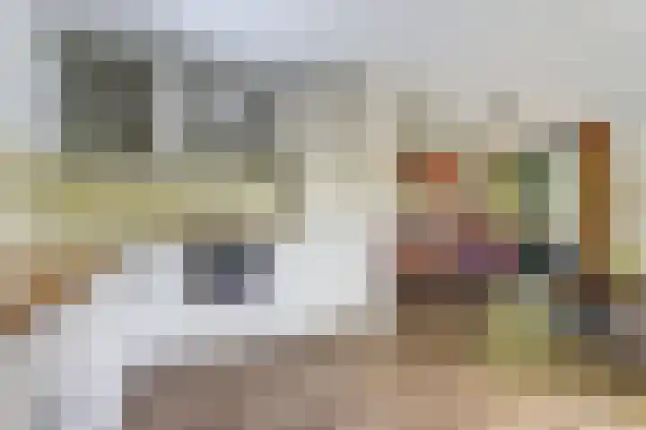 Strokel 23 A 10 Ermelo thumbnail 8