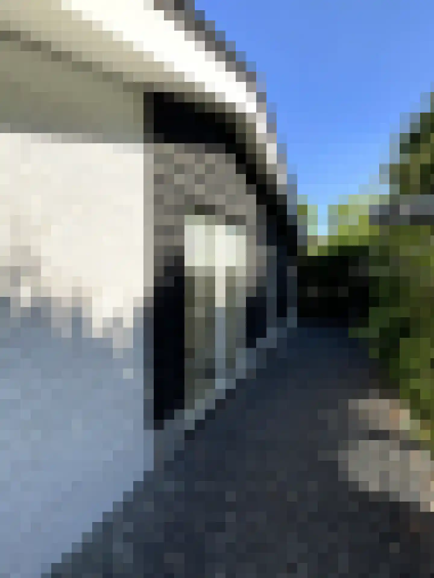 Strokel 23 A 21 Ermelo thumbnail 21