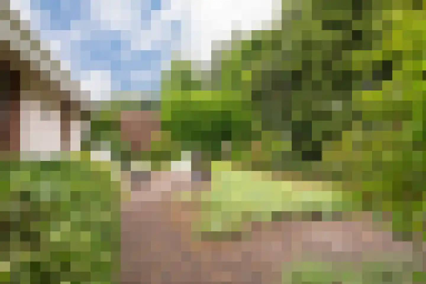 Strokel 23 A 31 Ermelo thumbnail 15