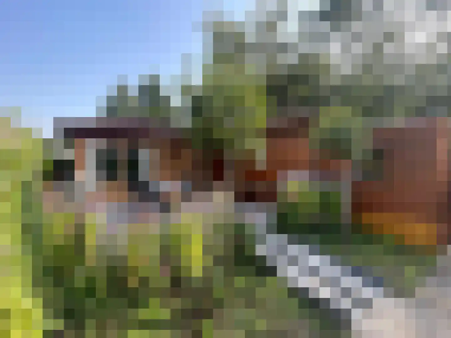 Strokel 30 23 Ermelo thumbnail 29