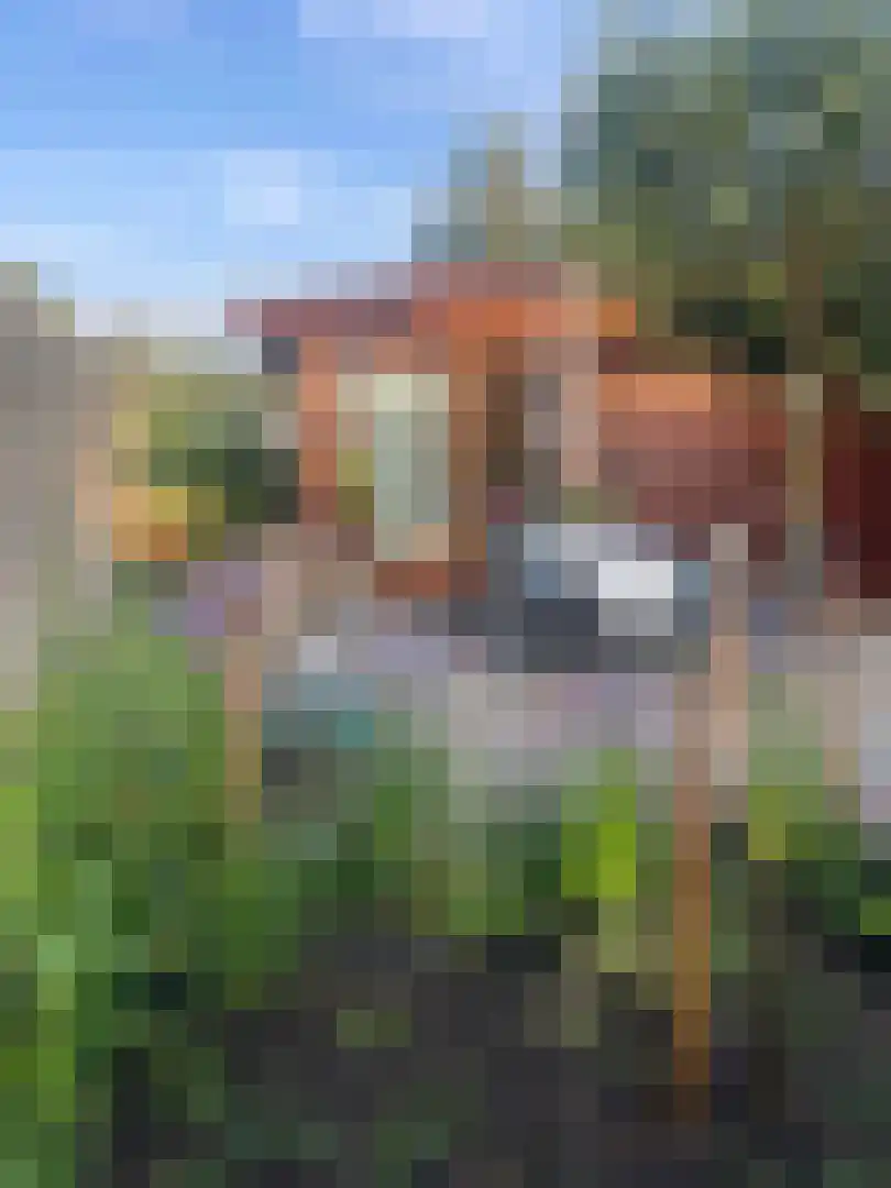 Strokel 30 23 Ermelo thumbnail 30