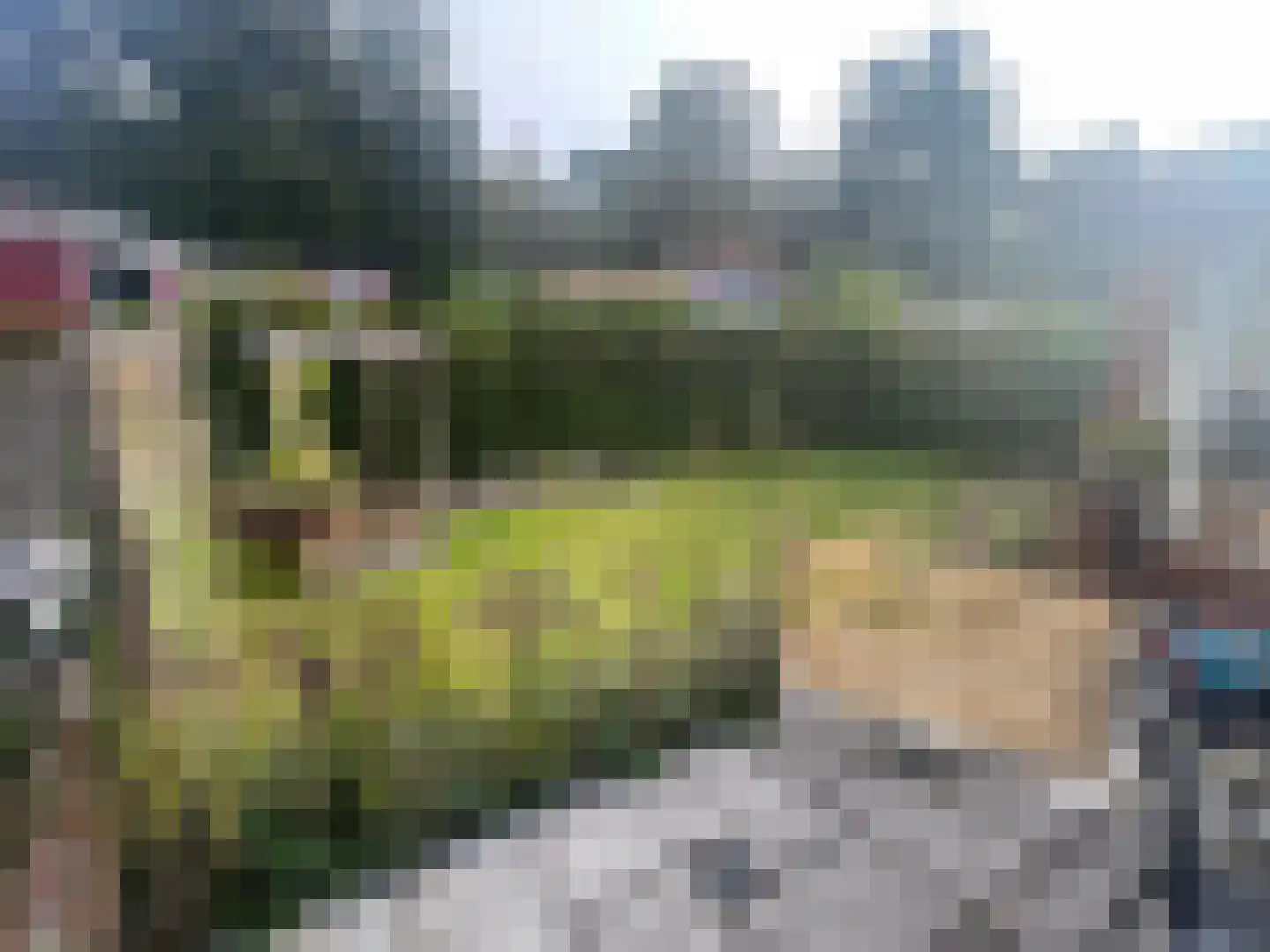 Strokel 30 23 Ermelo thumbnail 35