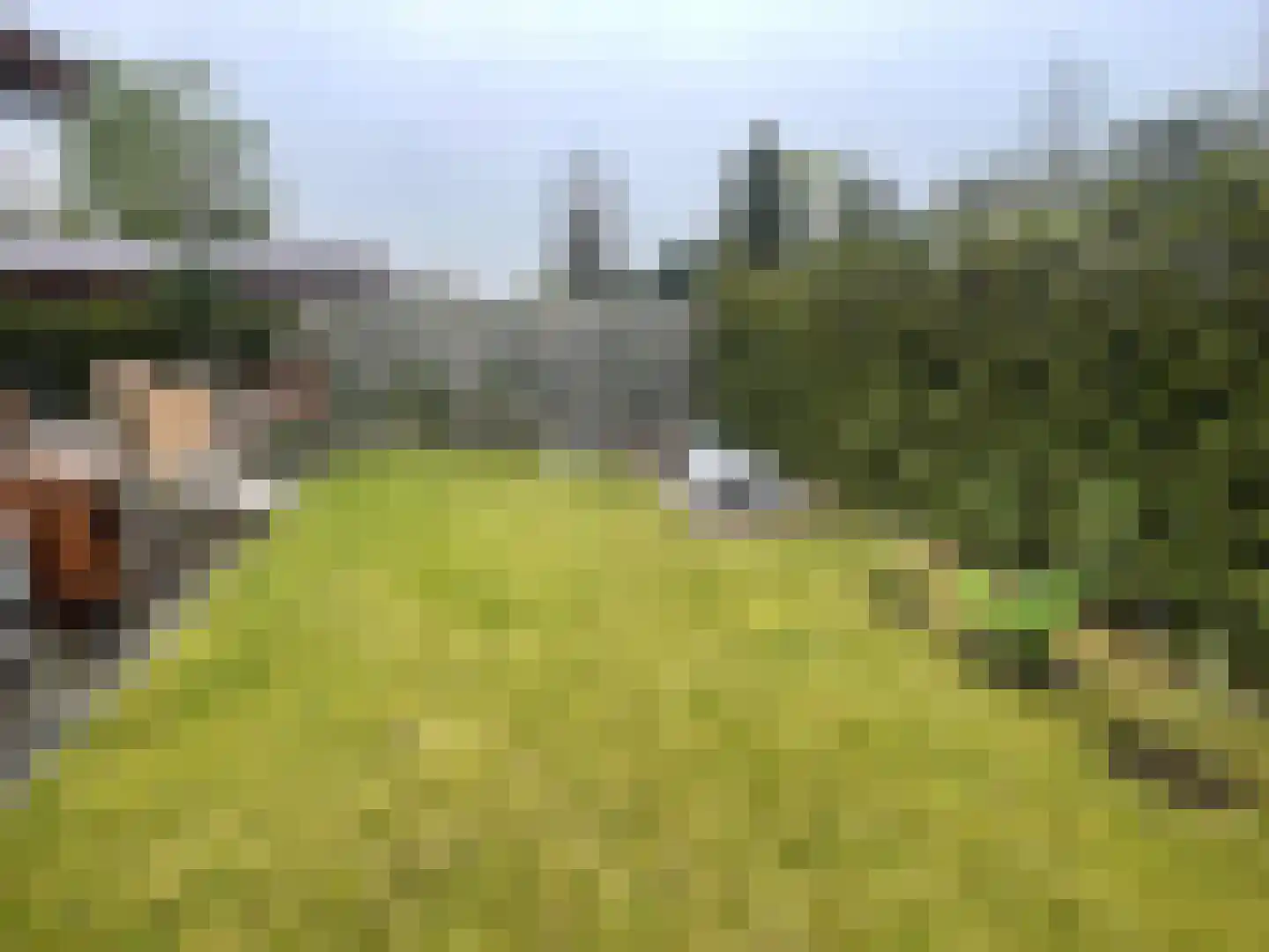 Strokel 30 23 Ermelo thumbnail 36