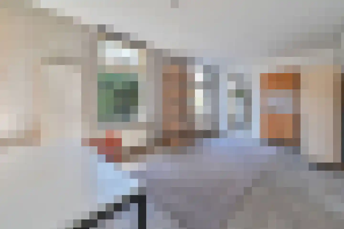 Strolaan 15 Arnhem thumbnail 21