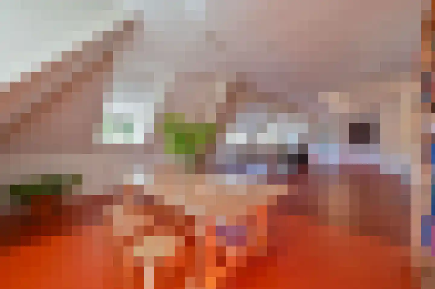 Strolaan 15 Arnhem thumbnail 25