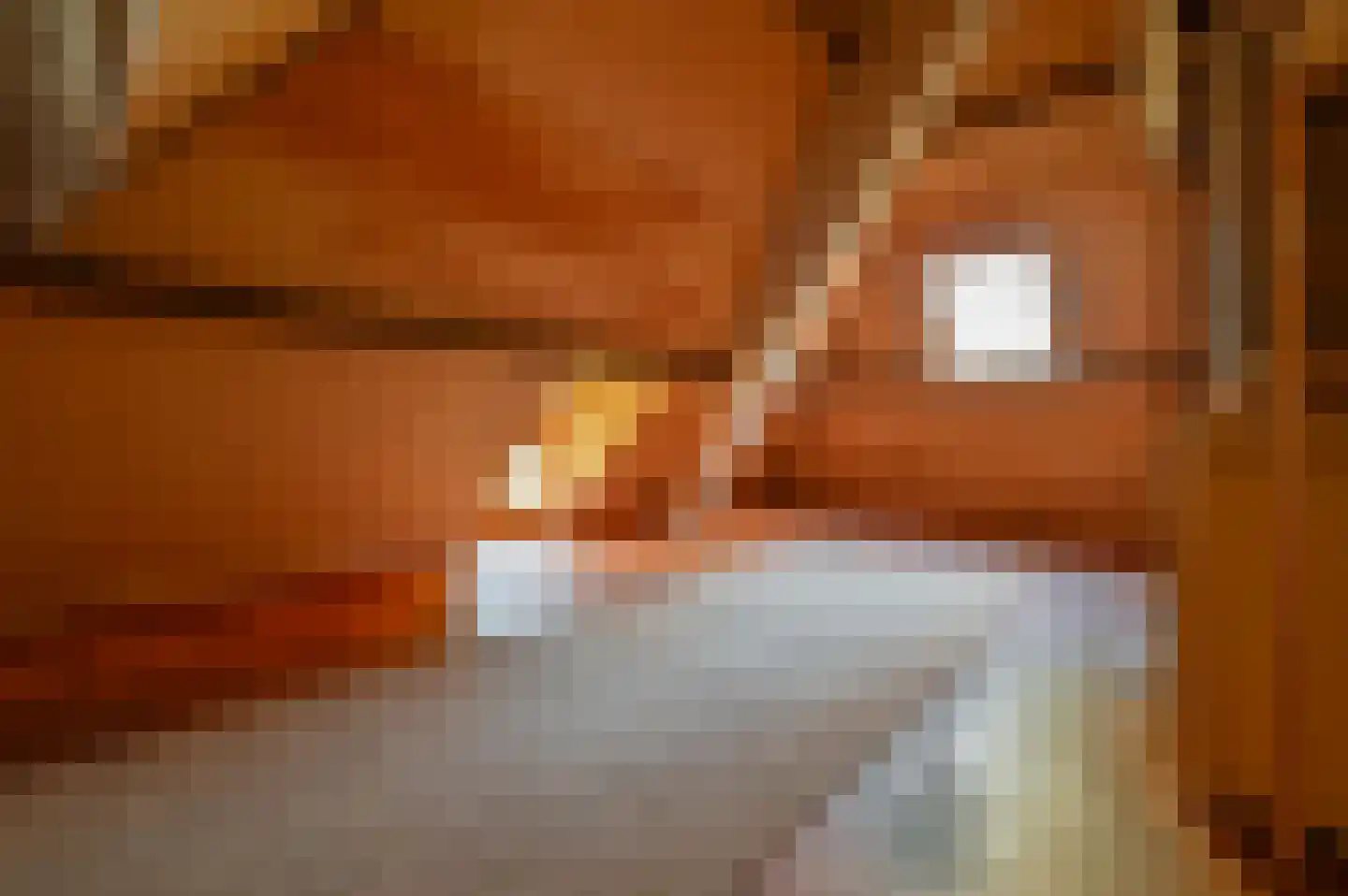 Strolaan 15 Arnhem thumbnail 32