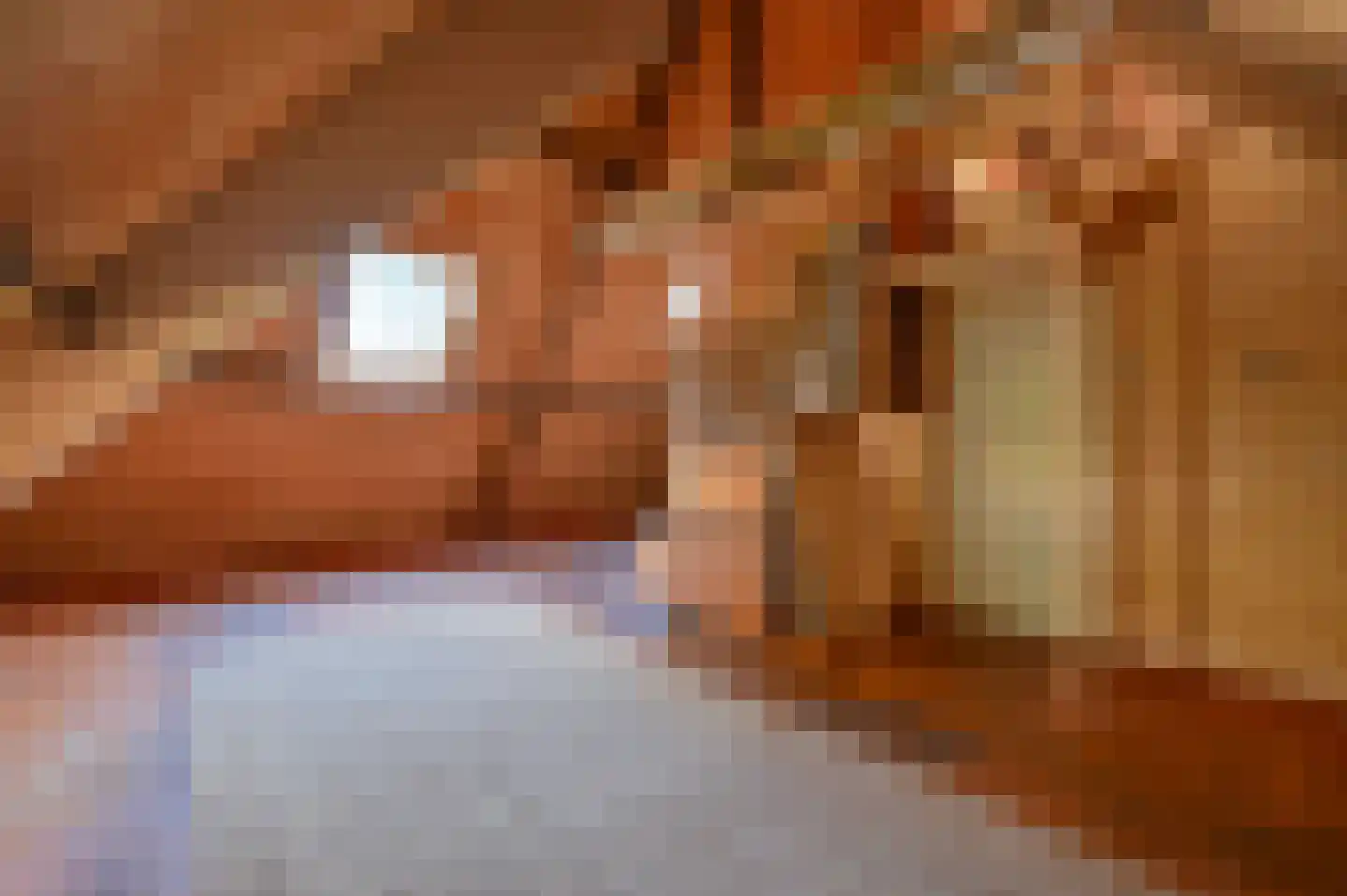 Strolaan 15 Arnhem thumbnail 33