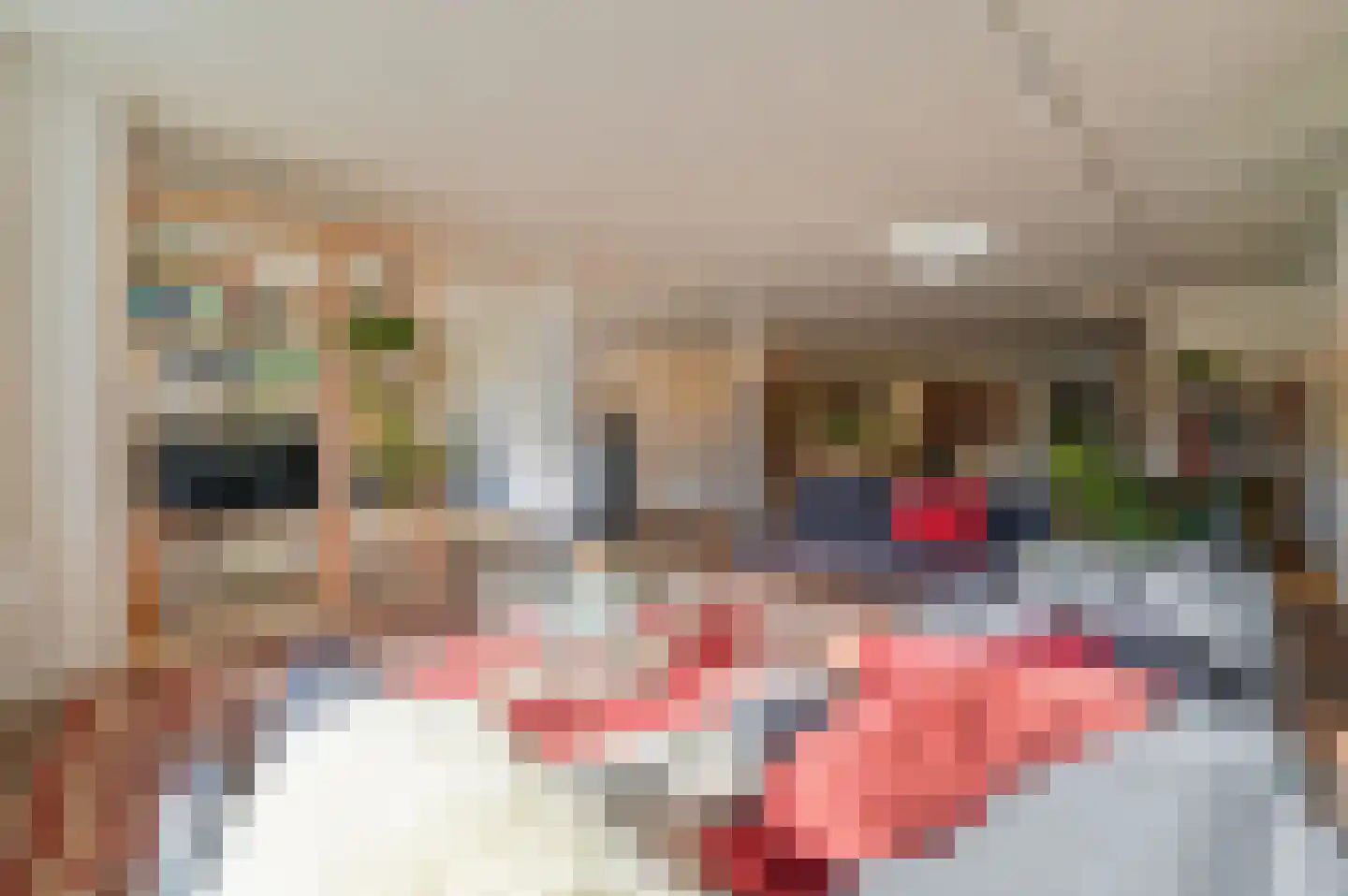 Strolaan 15 Arnhem thumbnail 4