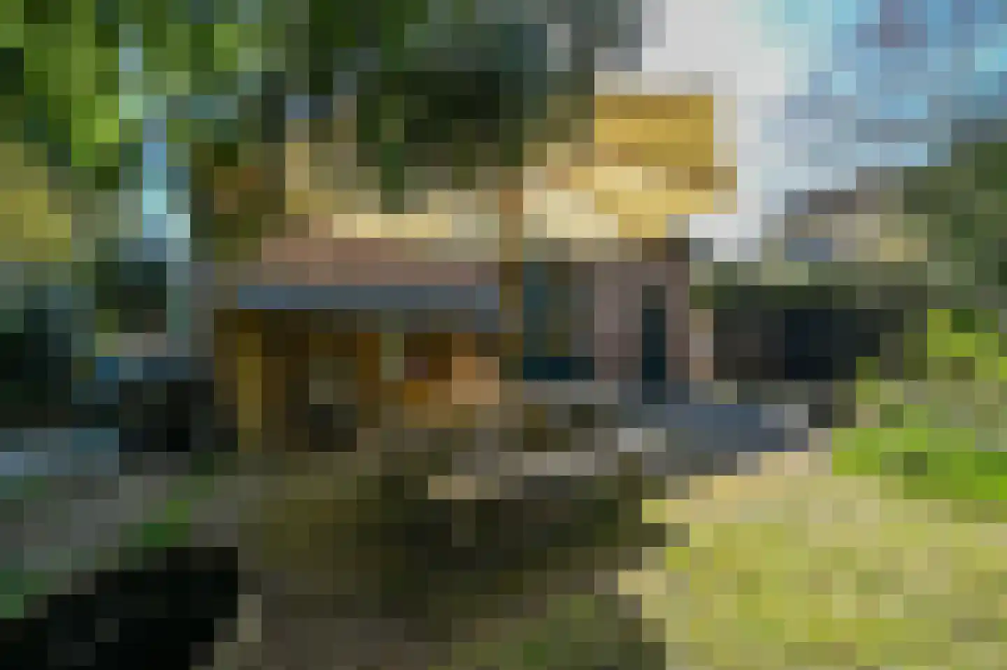 Strolaan 15 Arnhem thumbnail 41