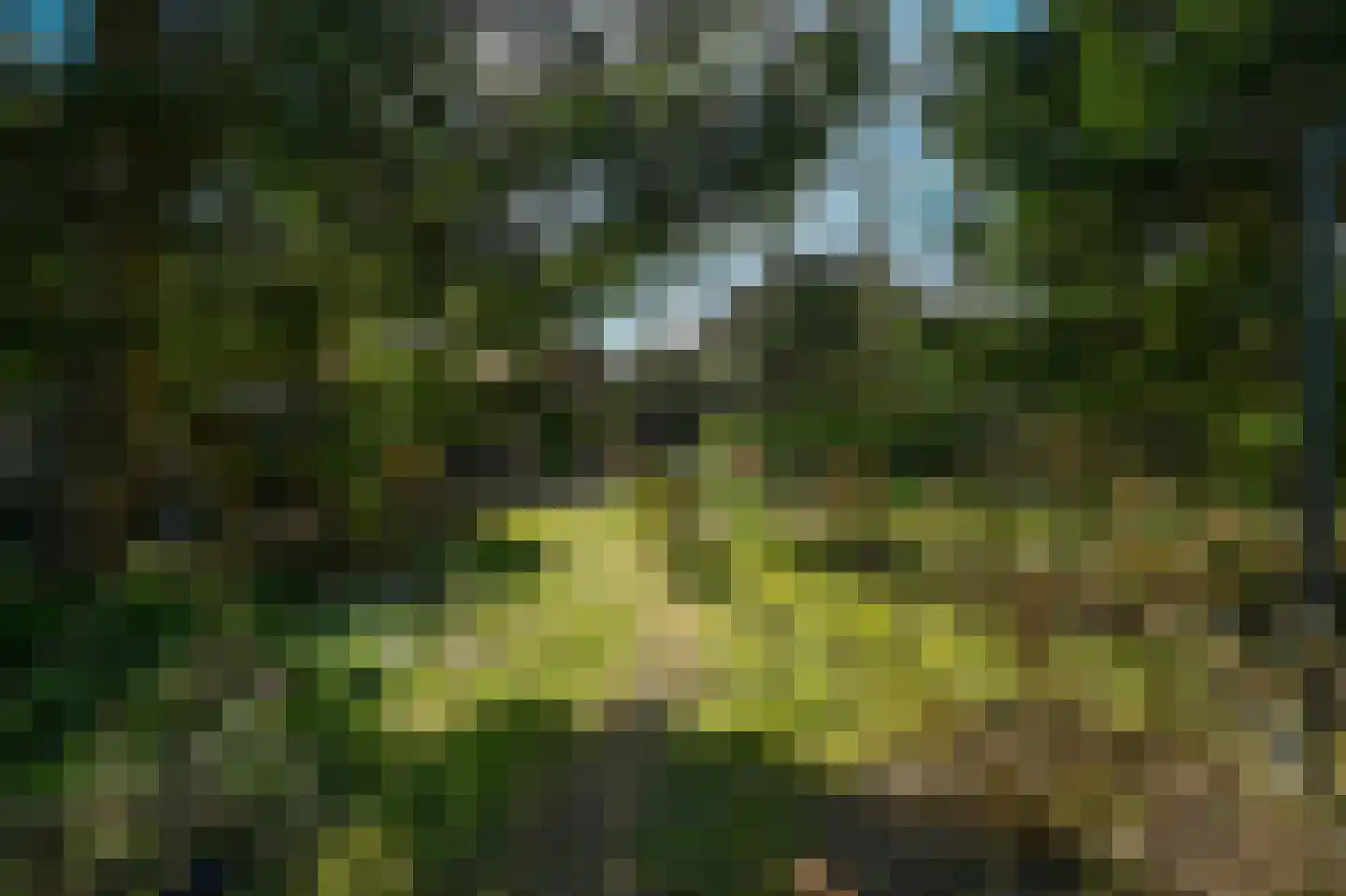 Strolaan 15 Arnhem thumbnail 43
