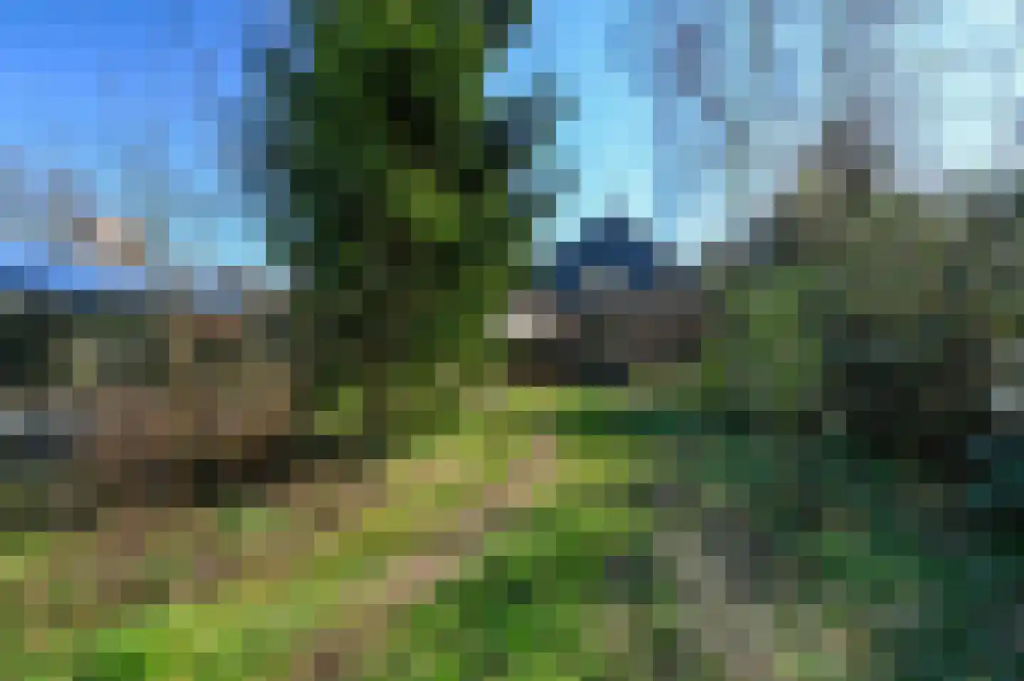 Strolaan 15 Arnhem thumbnail 44