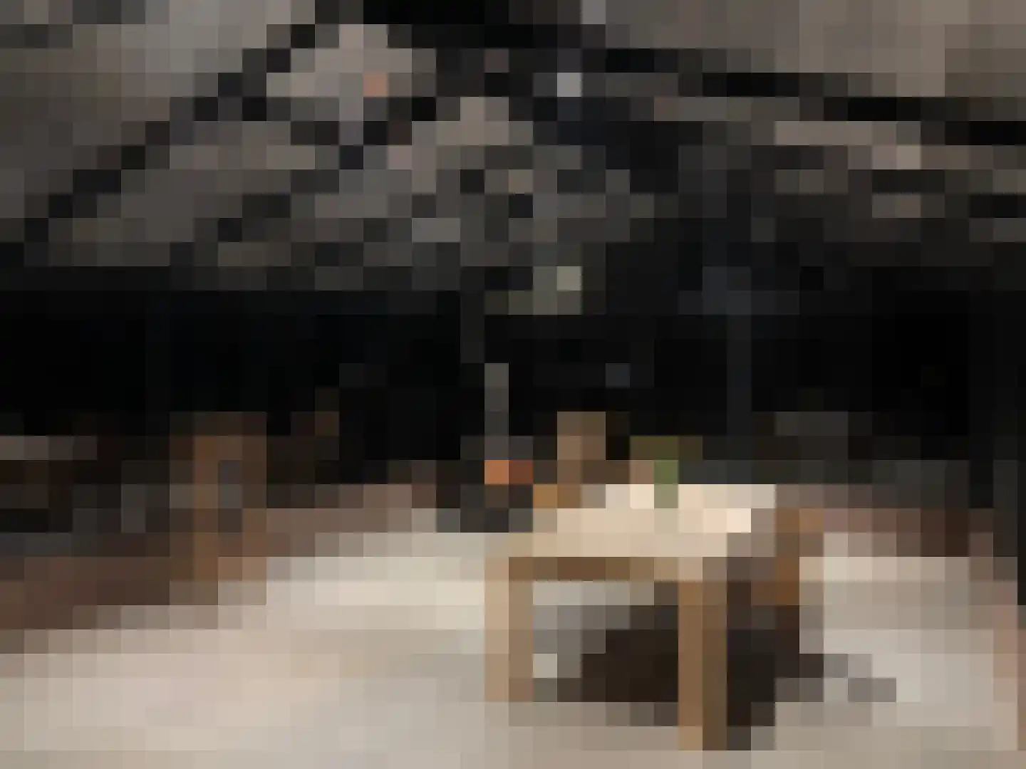 Strolaan 15 Arnhem thumbnail 51