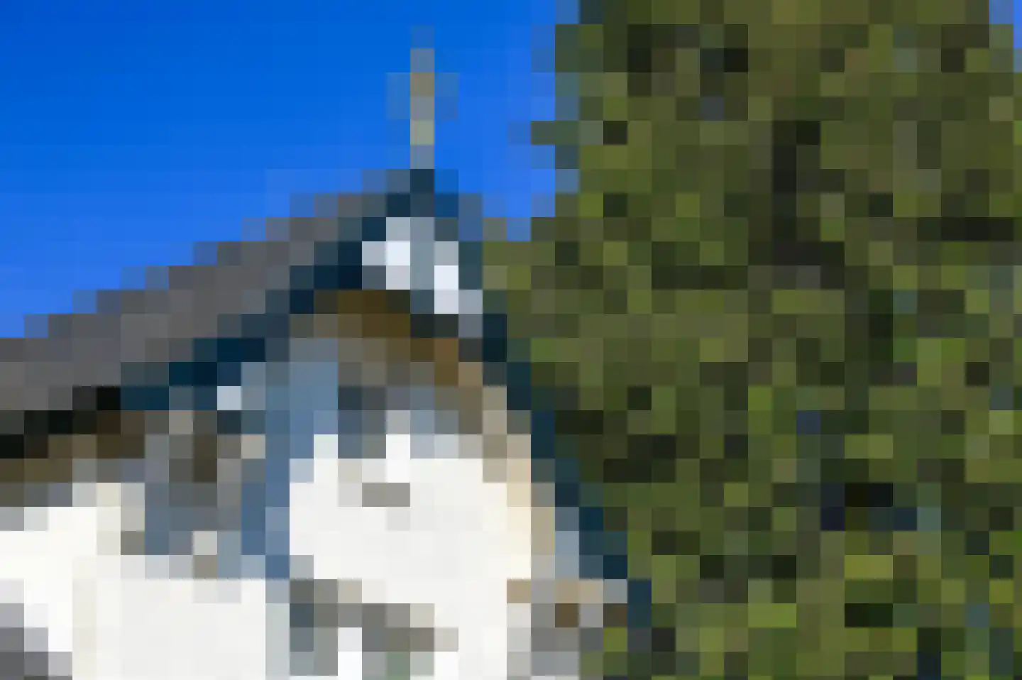 Strolaan 15 Arnhem thumbnail 57