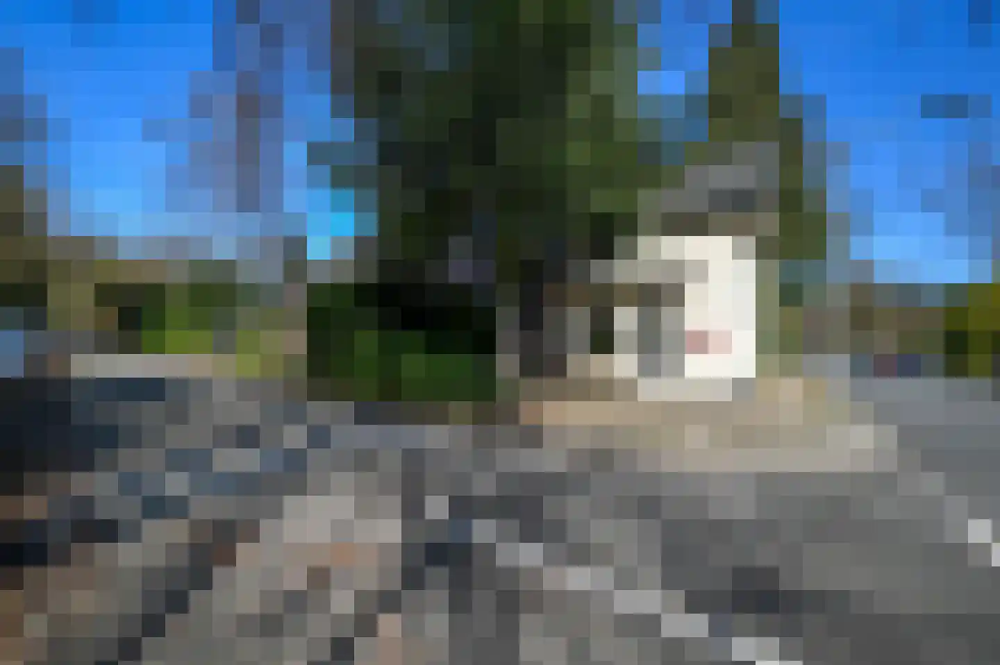 Strolaan 15 Arnhem thumbnail 63