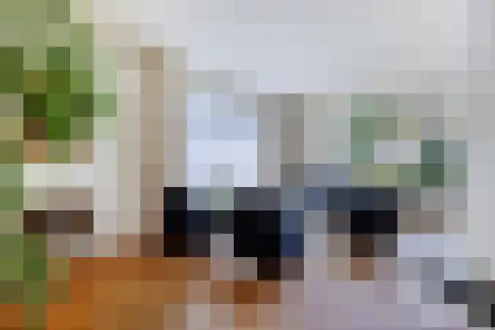 Strolaan 48 Arnhem thumbnail 12
